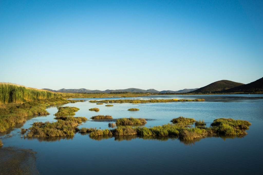 Panoramica stagni Masainas