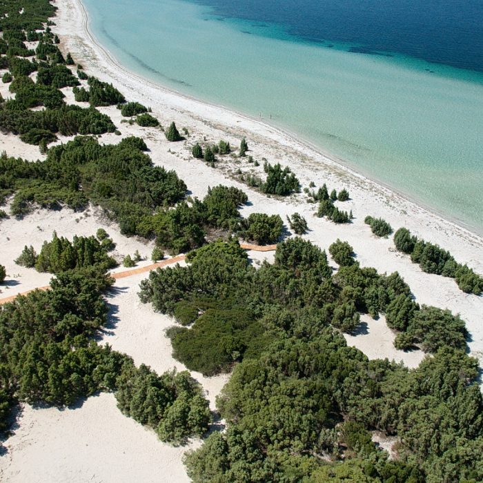 Masainas Turismo - Pineta e Spiaggia Sa Salina Masainas